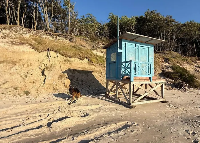 Oakland Debina (Ustka)